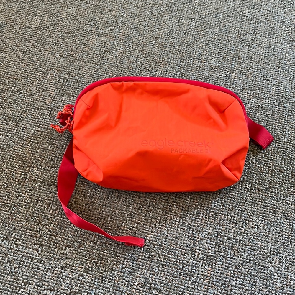 Eagle Creek Hip or Crossbody Bag